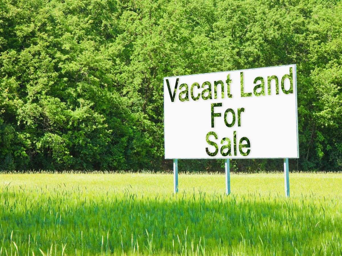 Undeveloped Land for Sale
