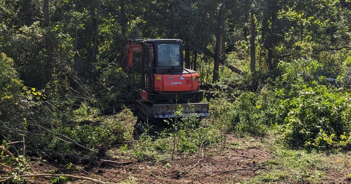 a tractor in the middle of the woods clearing land