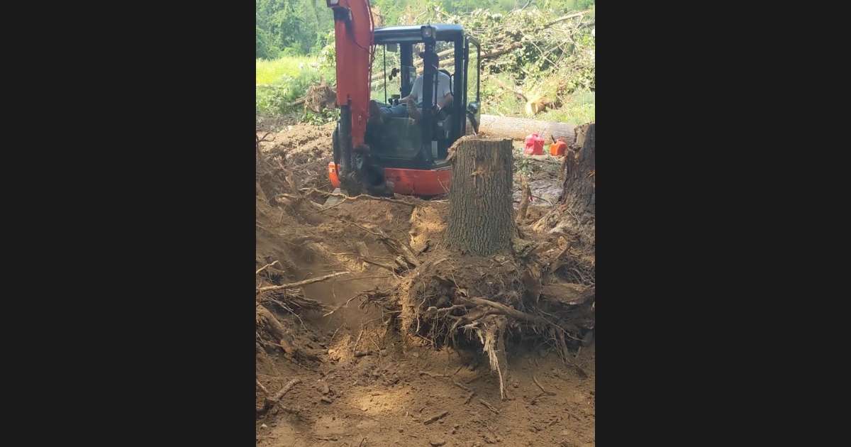 a tractor removing a tree stump