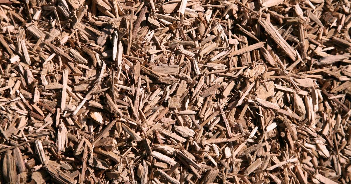 close up of wood chips