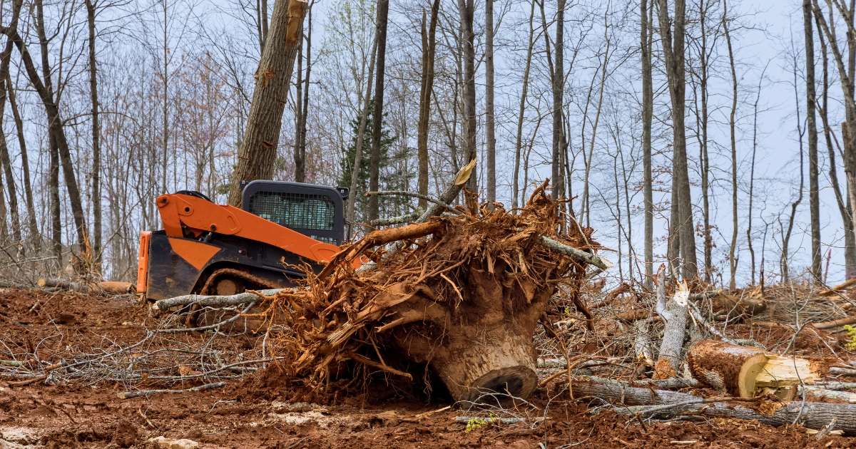 a tractor moving a tree stump