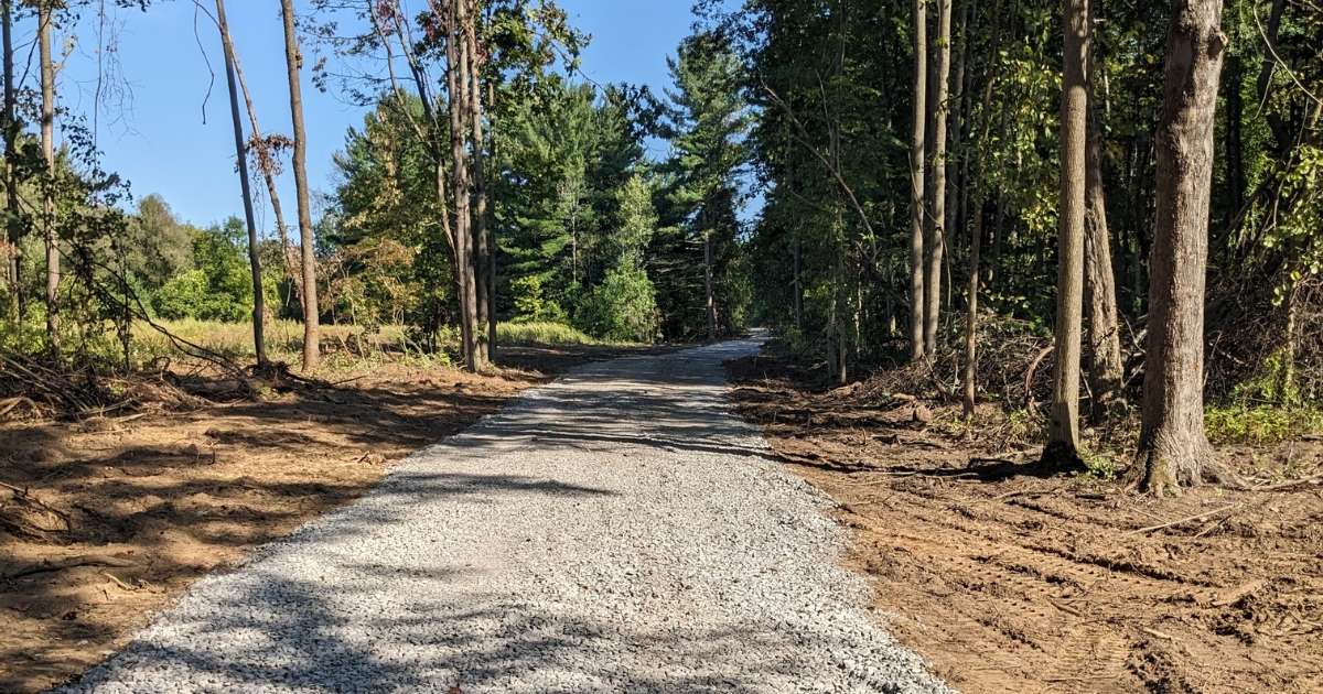 a gravel road disappearing into a forest