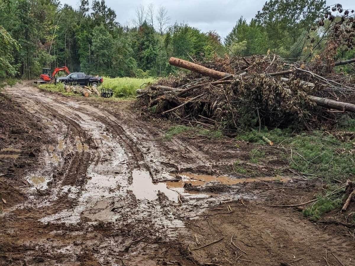 a truck driving down a muddy road next to a forest