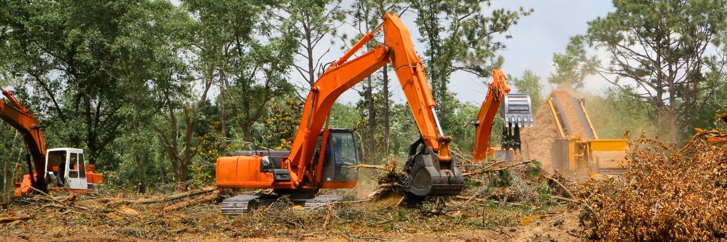 Land Clearing